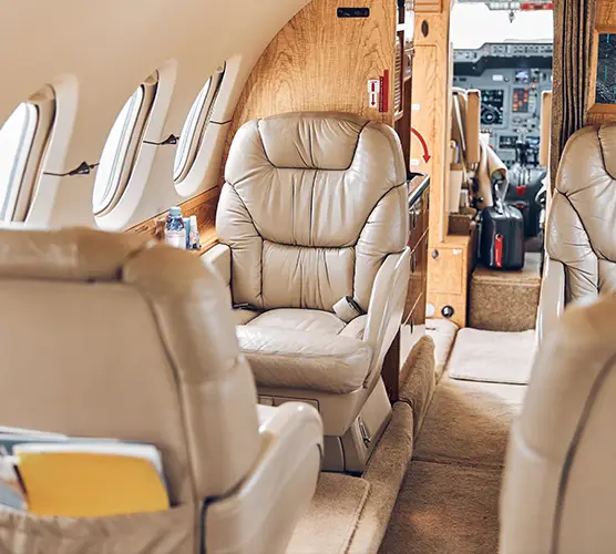 VIP transport services