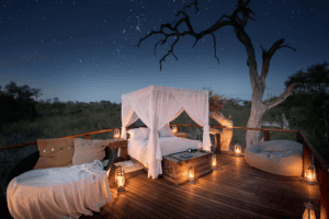 Luxury Safari South Africa: The World’s #1 Ultra-Luxury Circuit in 2026